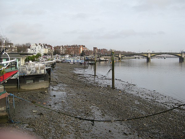 Chelsea, 2010
