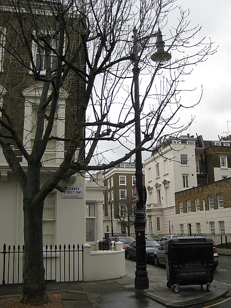 Alderney Street, 2009