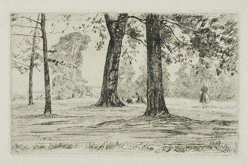 Greenwich Park [41]