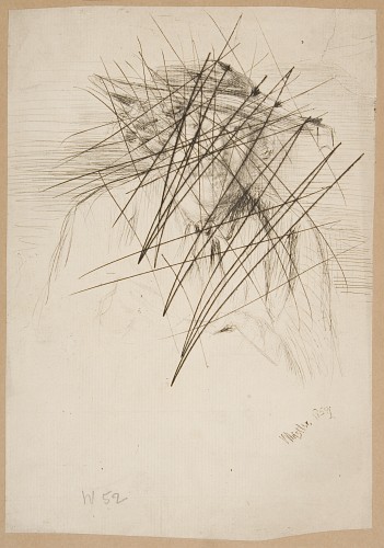 Whistler with a hat [44]