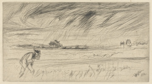 The Storm [81]