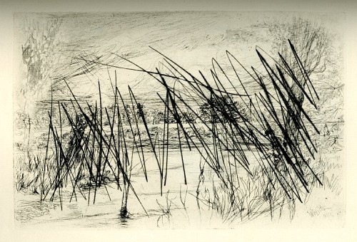Landscape with Fisherman [85]