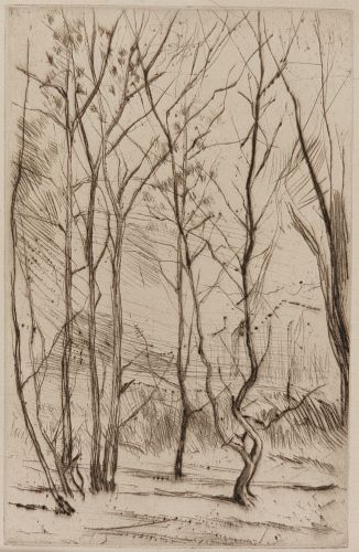The Dam Wood [133]