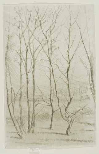 The Dam Wood [133]