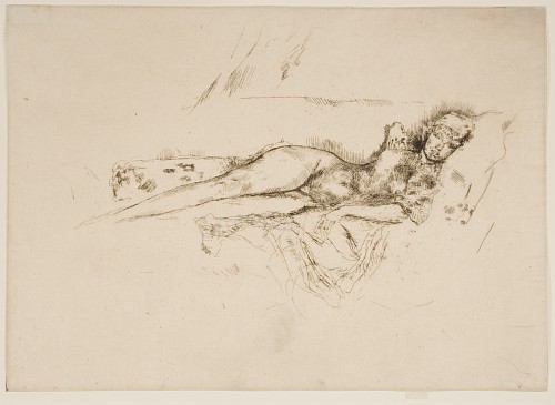 'Venus' (Nettie Pettigrew) [363]