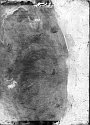 Etching: PE75_01 (plate) Etching: PE75_01 (plate)