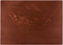 Etching: PK343_01 (plate)
