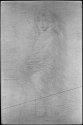 Etching: PS_K135_01 (plate)