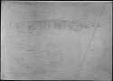 Etching: PS_K311_01 (plate)