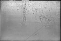 Etching: PS_K423_01 (plate)