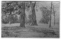 Copper plate: Greenwich Park [41]