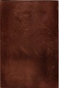 Copper plate: Fumette's Bent Head [58]