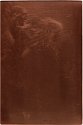 Copper plate: Brushing the Hair [94]