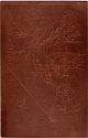 Copper plate: The Cock and the Pump [321]