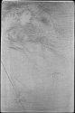 Copper plate: Weary [93]