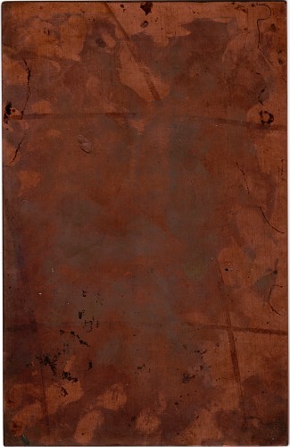 Copper plate: The Fleet: Monitors [306]