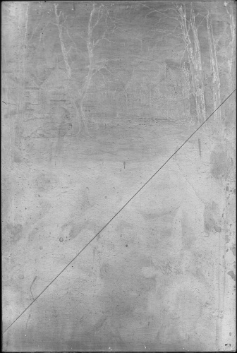 Copper plate: Speke Hall: The Avenue [101]