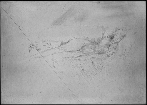 Copper plate: 'Venus' (Nettie Pettigrew) [363]